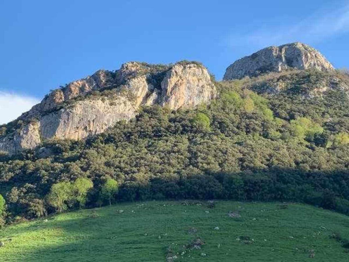 Cumbres De Los Picos Apartamento Los Abedules Poo  Exterior photo